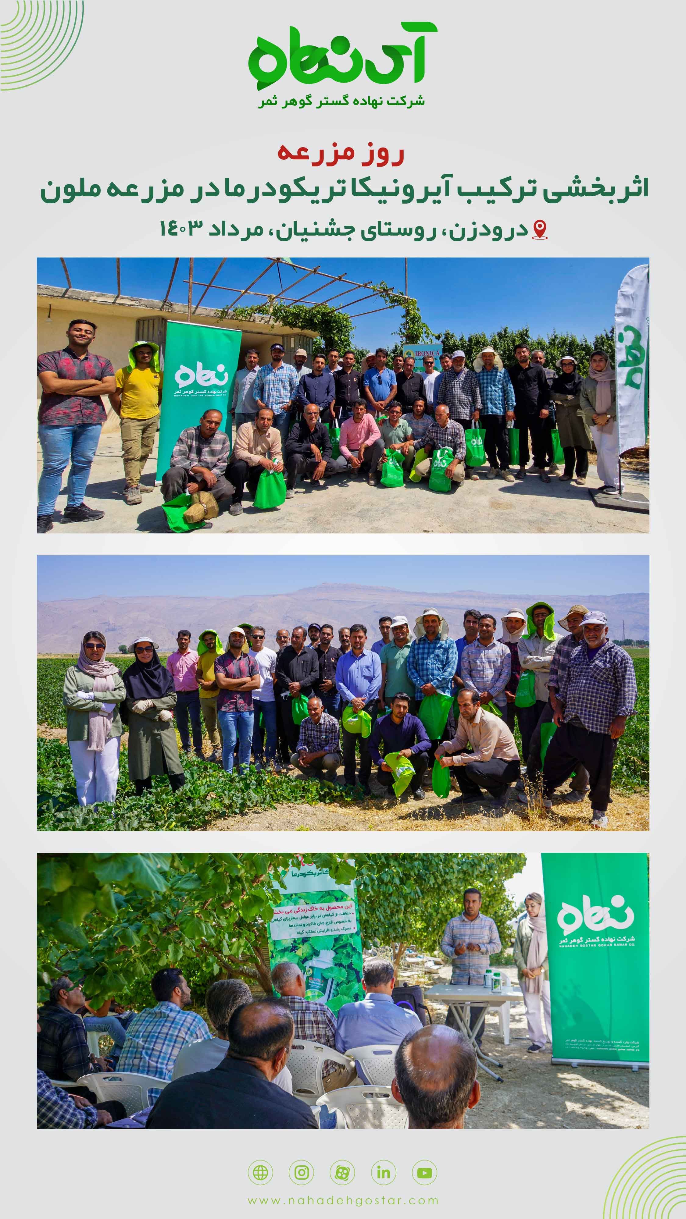 روز مزرعه، اثربخشی ترکیب آیرونیکا تریکودرما در مزرعه ملون